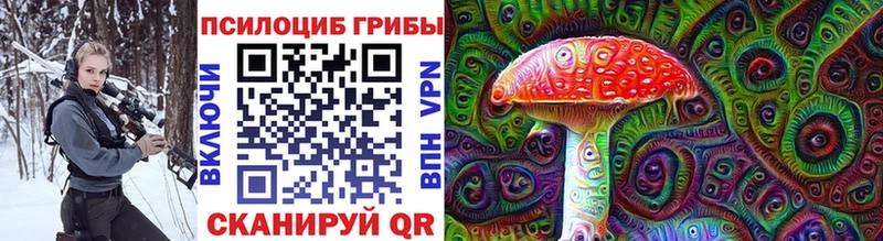 сколько стоит  Брюховецкая  Псилоцибиновые грибы Psilocybe 